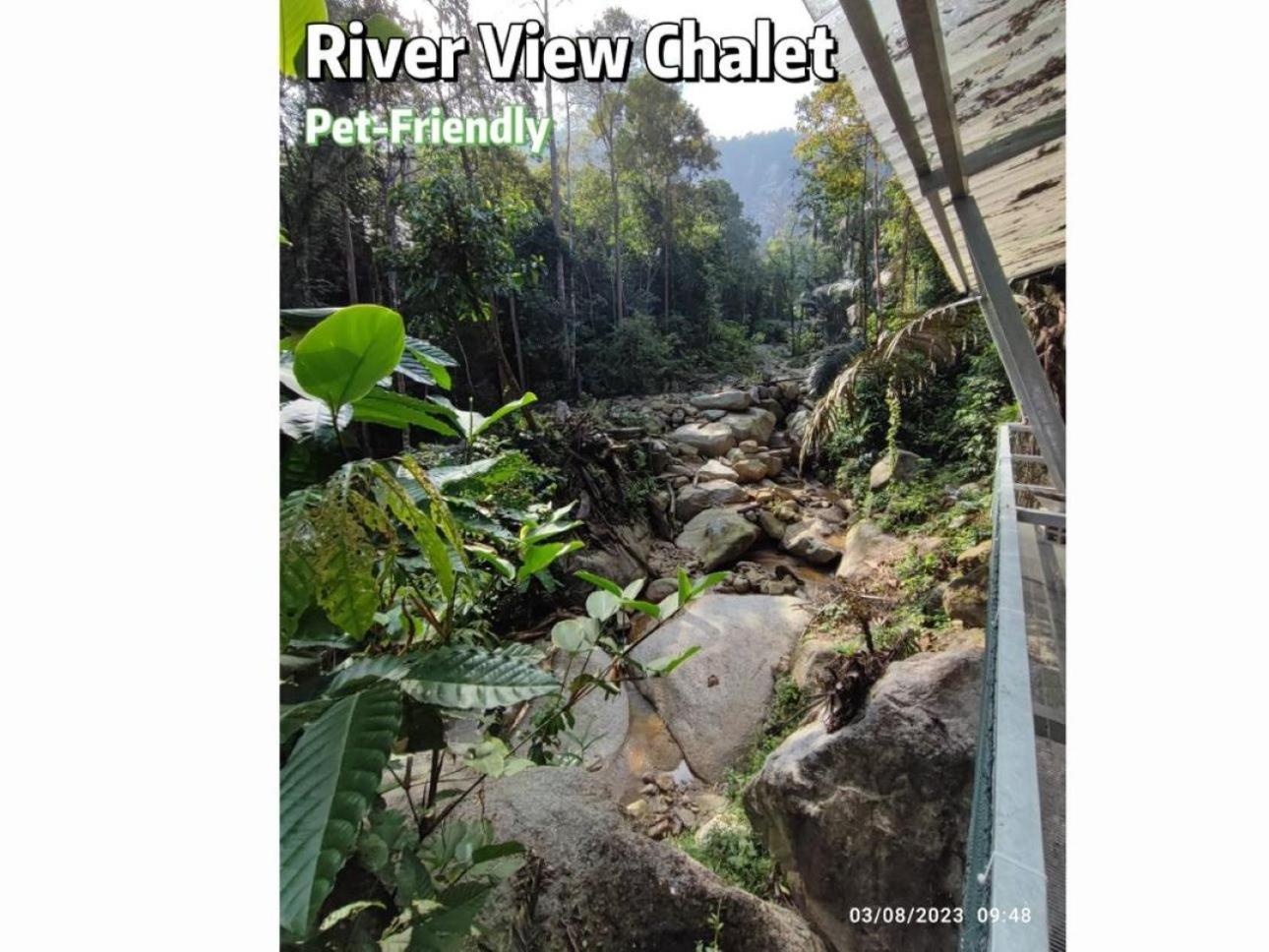 Gibbon Retreat Bentong Otel Dış mekan fotoğraf