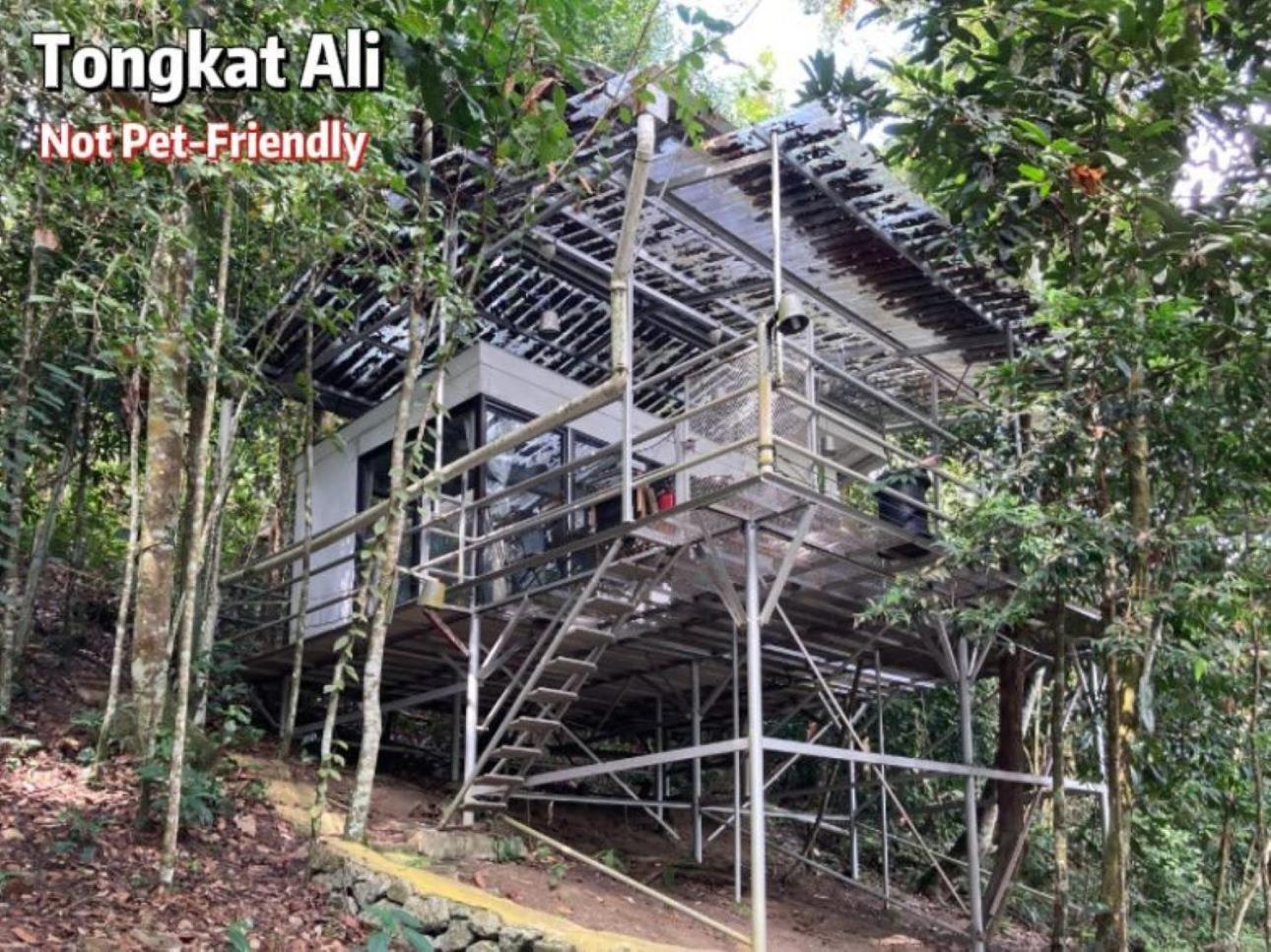 Gibbon Retreat Bentong Otel Dış mekan fotoğraf